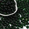 Transparent Colours Glass Seed Beads SEED-Z004-T8MM-01-1