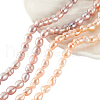 AHADERMAKER 2 Strands 2 Styles Natural Cultured Freshwater Pearl Beads Strands PEAR-GA0001-03-1