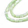 Natural Trochid Shell/Trochus Shell Beads Strands SHEL-N003-26-B08-3