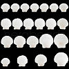  20Pcs 4 Style Natural Scallop Shells SSHEL-PH0001-23-7