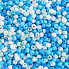 Opaque Glass Round Seed Beads GLAA-TAC0025-07B-05-10