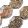 Natural Fossil Coral Beads Strands G-F477-07-44x34mm-3