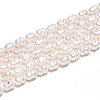 Natural Cultured Freshwater Pearl Beads Strands PEAR-N012-04L-5