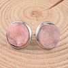 Flat Round 304 Stainless Steel Druzy Resin Ear Studs EJEW-JE01964-2