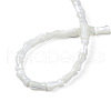 Natural Trochid Shell/Trochus Shell Beads Strands SSHEL-N034-122-B01-4