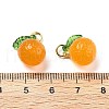 Dyed Natural Agate Orange Charms G-U025-07G-3
