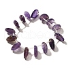 Natural Amethyst Beads Strands G-P561-A02-01-2