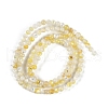 Natural Trochus Shell Beads Strands BSHE-H109-12A-3