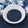MIYUKI Delica Beads X-SEED-J020-DB1763-2