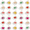 SUNNYCLUE 32Pcs Summer Beach Natural Shell Pendants FIND-SC0012-34-1