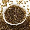 Glass Seed Beads SEED-L011-02A-04-2