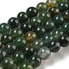 Natural Moss Agate Round Beads Strands G-S151-6mm-2