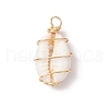 Natural Cowrie Shell Copper Wire Wrapped Pendants PALLOY-JF03368-2