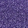 MIYUKI Delica Beads X-SEED-J020-DB0906-3