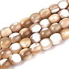 Natural Trochid Shell/Trochus Shell Beads Strands SSHEL-N040-14-1