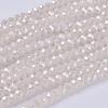 Electroplate Glass Beads Strands GLAA-F077-FR14-1
