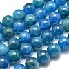 Natural Apatite Beads Strands G-O186-E02-8mm-2