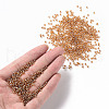 (Repacking Service Available) Glass Seed Beads SEED-C015-2mm-102C-4