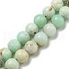 Natural Green Opal Beads Strands G-R494-A08-02-1