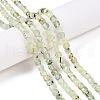Natural Prehnite Beads Strands G-N342-124-4
