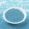 MIYUKI Round Rocailles Beads X-SEED-G007-RR2429-2