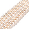 Natural Cultured Freshwater Pearl Beads Strands PEAR-E016-196-1