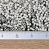 MIYUKI Delica Beads SEED-X0054-DB0551F-4