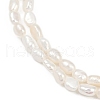 Natural Cultured Freshwater Pearl Beads Strands PEAR-P064-20E-03A-4