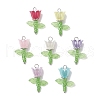 Acrylic Beads & Plastic Imitation Pearl Beads & Japanese Seed Beads Pendants PALLOY-JF03826-01-1