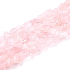 Natural Rose Quartz Beads Strands G-G018-13-1