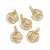 Brass Cubic Zirconia Pendants KK-E068-VA099-2-4