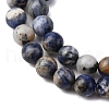 Natural Sodalite Beads Strands G-R015-B01-6mm-4