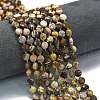 Natural Zebra Jasper Beads Strands G-K389-B69-01-1