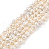 Electroplated Shell Pearl Beads Strands BSHE-C006-01C-1