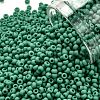 TOHO Round Seed Beads SEED-XTR11-0055DF-1