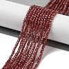Natural Garnet Beads Strands G-B088-E11-02-2