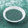 MIYUKI Round Rocailles Beads X-SEED-G007-RR0322-2