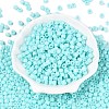 Opaque Baking Paint Glass Seed Beads SEED-T008-02N-2
