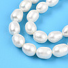 Natural Cultured Freshwater Pearl Beads Strands PEAR-N012-07Y-4