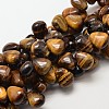 Natural Tiger Eye Teardrop Beads G-P094-03-1