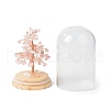 Natural Rose Quartz Chips Money Tree in Dome Glass Bell Jars with Wood Base Display Decorations DJEW-B007-04B-3