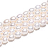 Natural Cultured Freshwater Pearl Beads Strands PEAR-N012-07Z-5