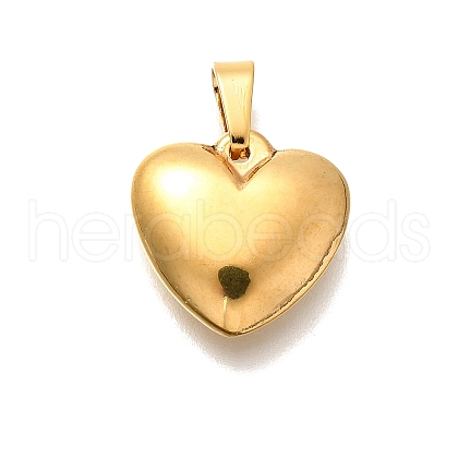 304 Stainless Steel Pendants STAS-B079-02G-03-1