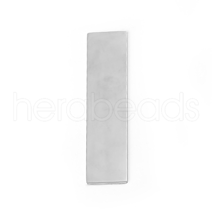 304 Stainless Steel Big Pendants STAS-I140-31S-1