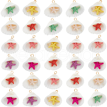 SUNNYCLUE 32Pcs Summer Beach Natural Shell Pendants FIND-SC0012-34-1