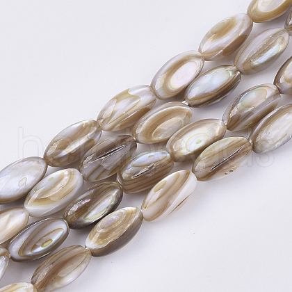 Freshwater Shell Beads Strands SHEL-S276-34A-1