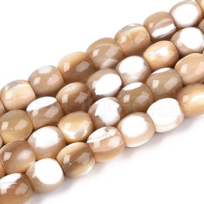 Natural Trochid Shell/Trochus Shell Beads Strands SSHEL-N040-14-1