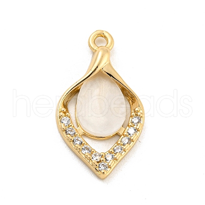 Brass Micro Pave Clear Cubic Zirconia Pendants KK-P263-16B-KCG-1