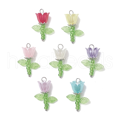 Acrylic Beads & Plastic Imitation Pearl Beads & Japanese Seed Beads Pendants PALLOY-JF03826-01-1