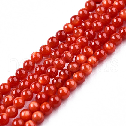 Natural Freshwater Shell Beads Strands SHEL-N026-205A-01-1